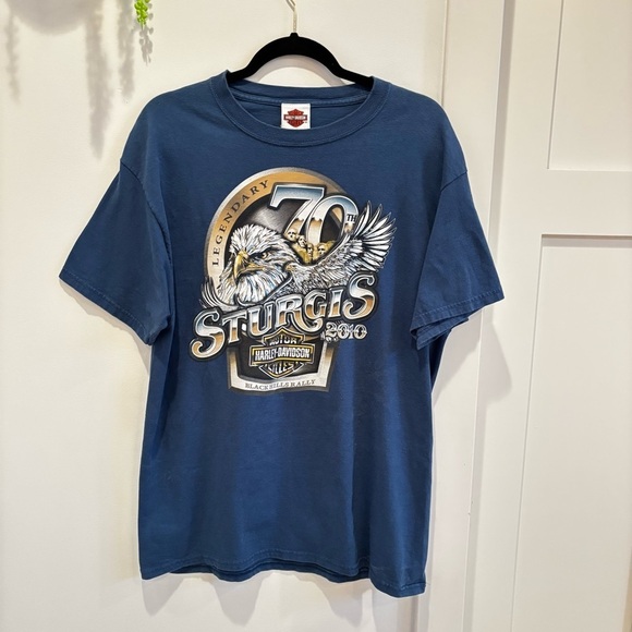Harley-Davidson Other - Harley-Davidson Black Hills Rally Sturgis 70th Anniversary 2010 Blue Graphic L
